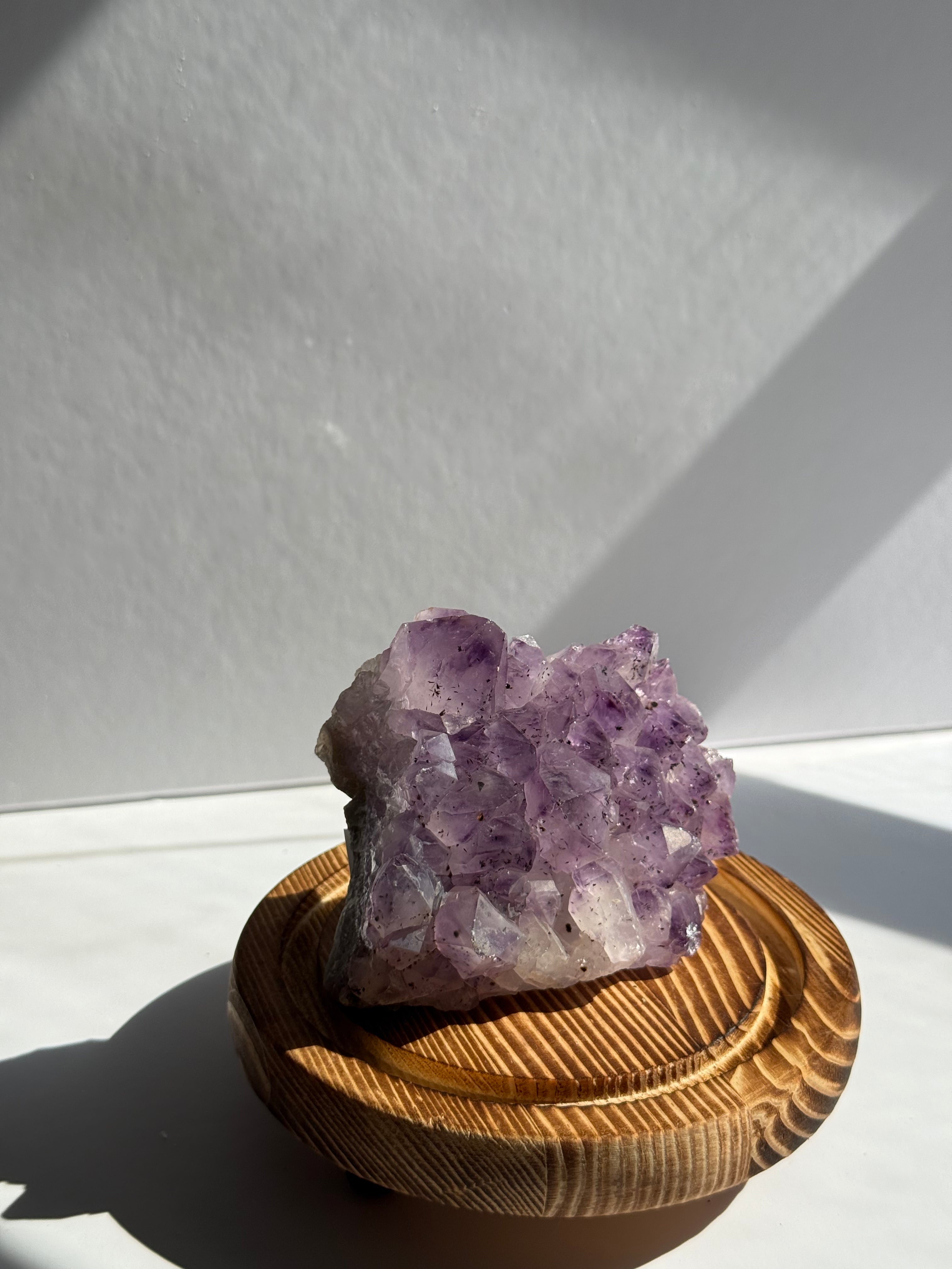 Choice Amethyst Cluster