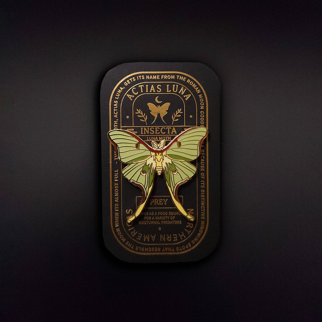 Luna Moth Educational Insect Enamel Pin