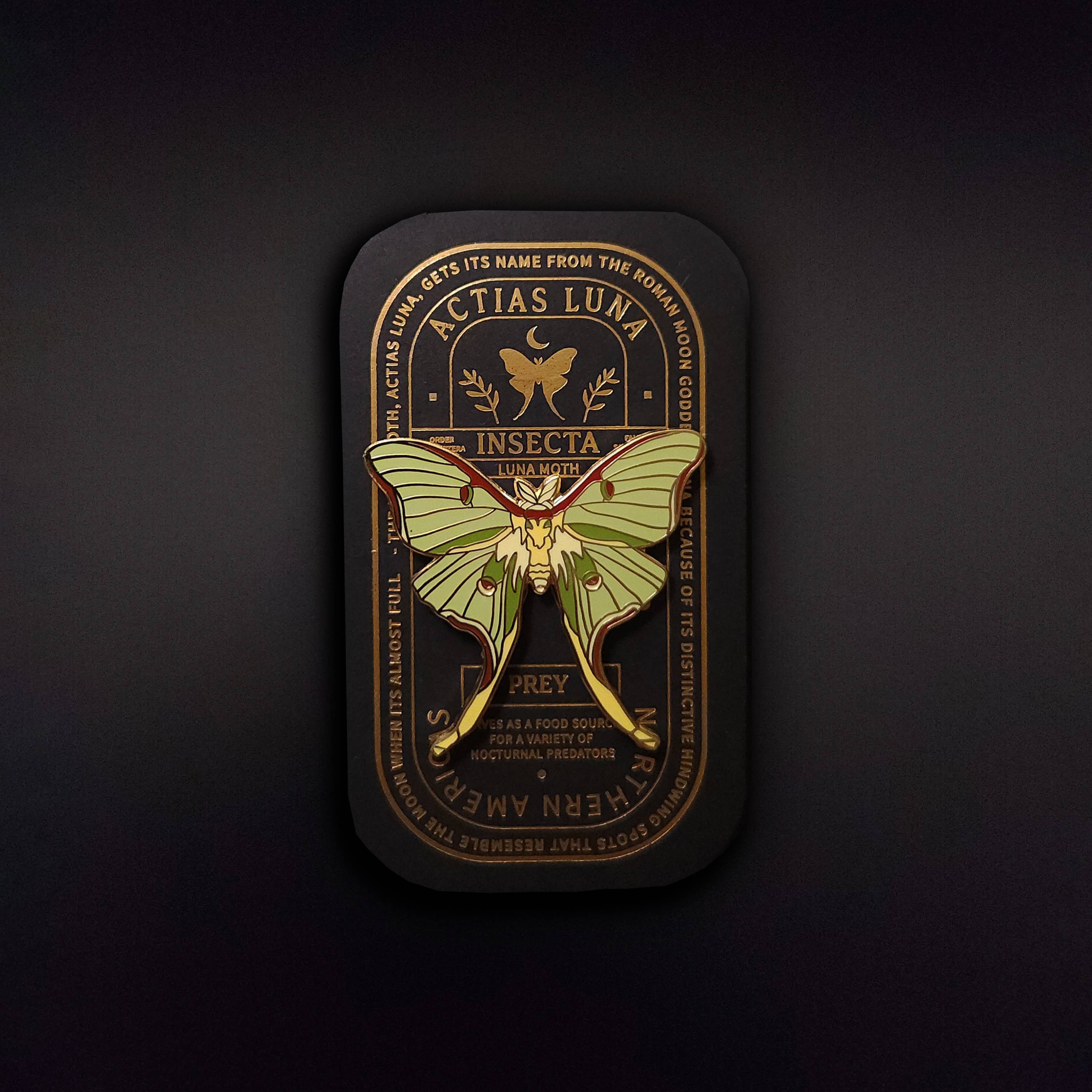 Luna Moth Educational Insect Enamel Pin