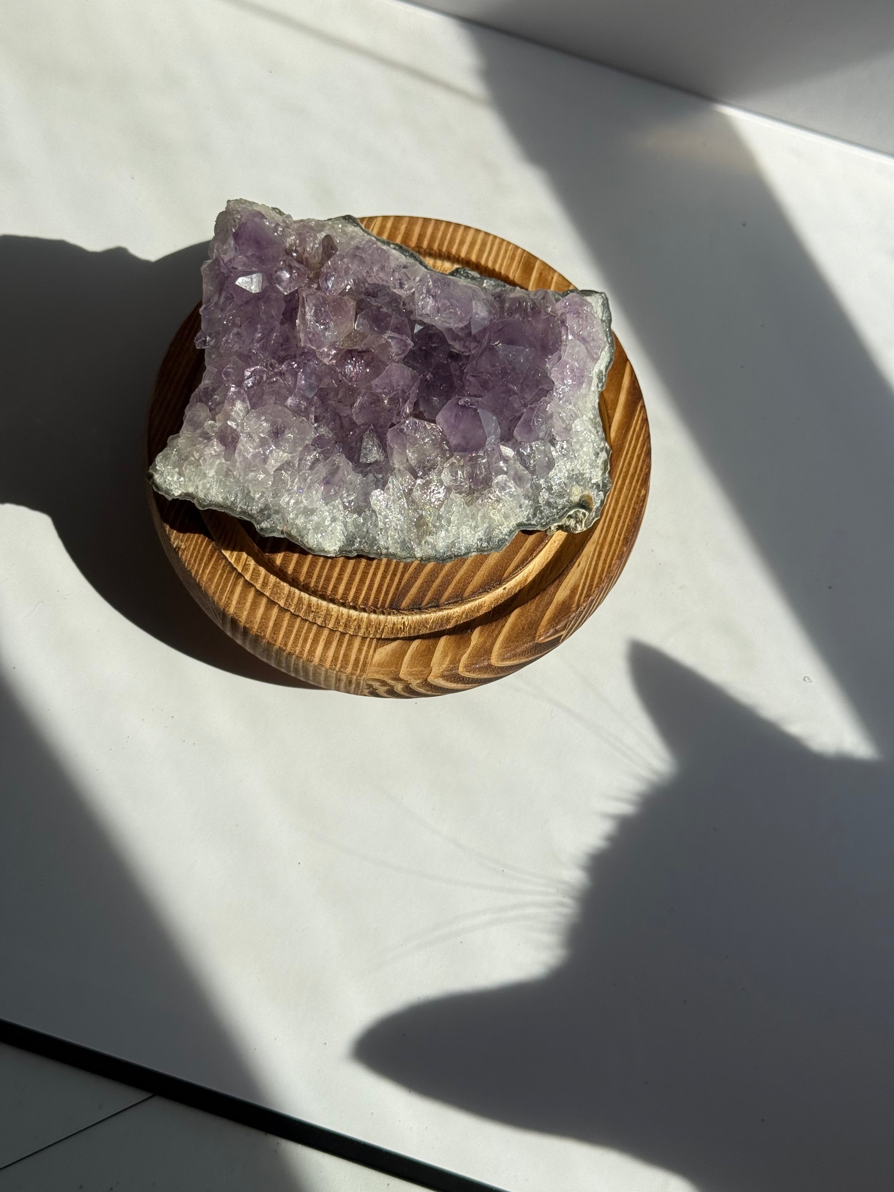 Choice Amethyst Cluster