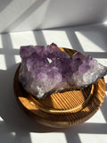 Choice Amethyst Cluster