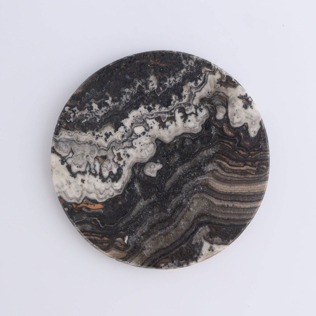 One Zebra Onyx Coaster