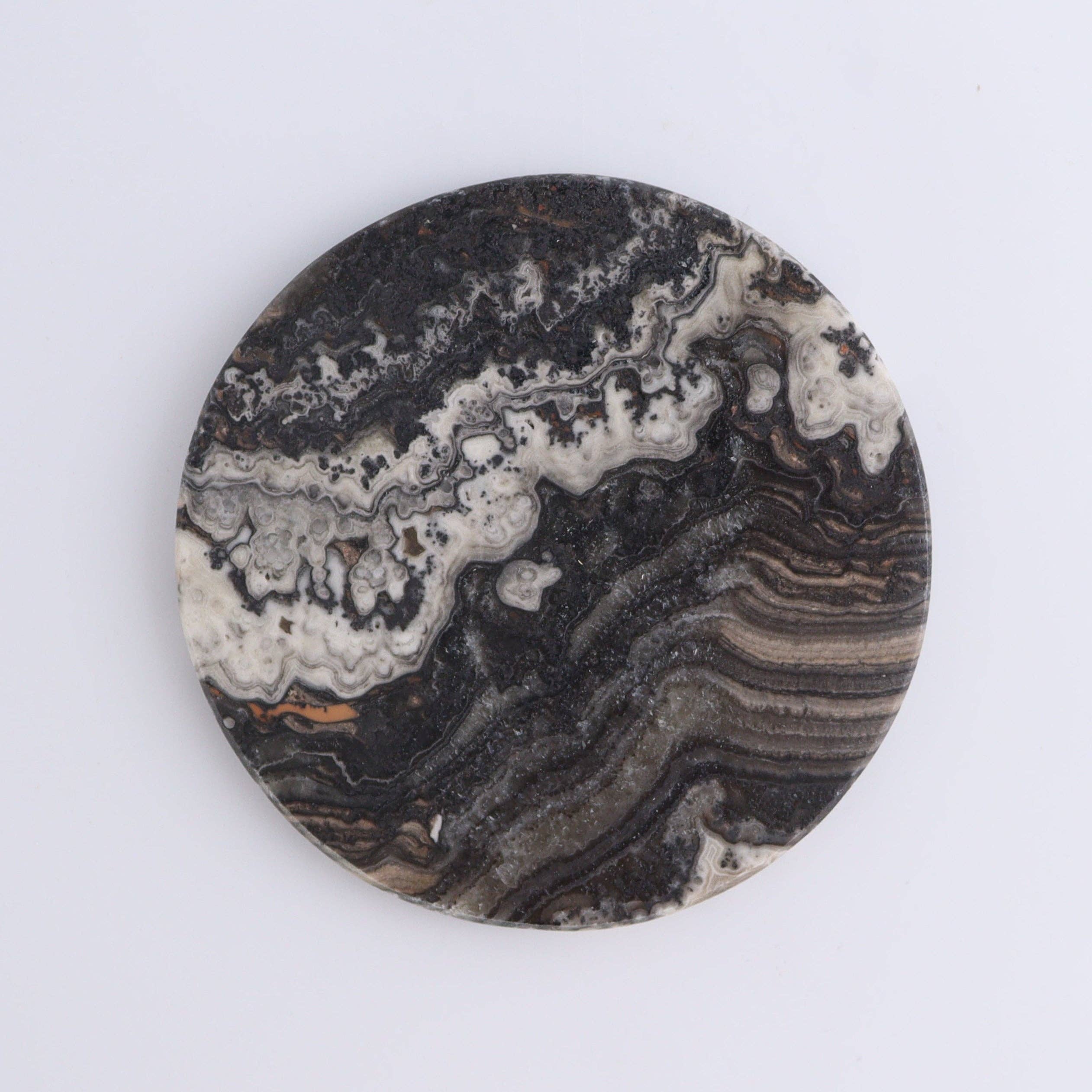 One Zebra Onyx Coaster