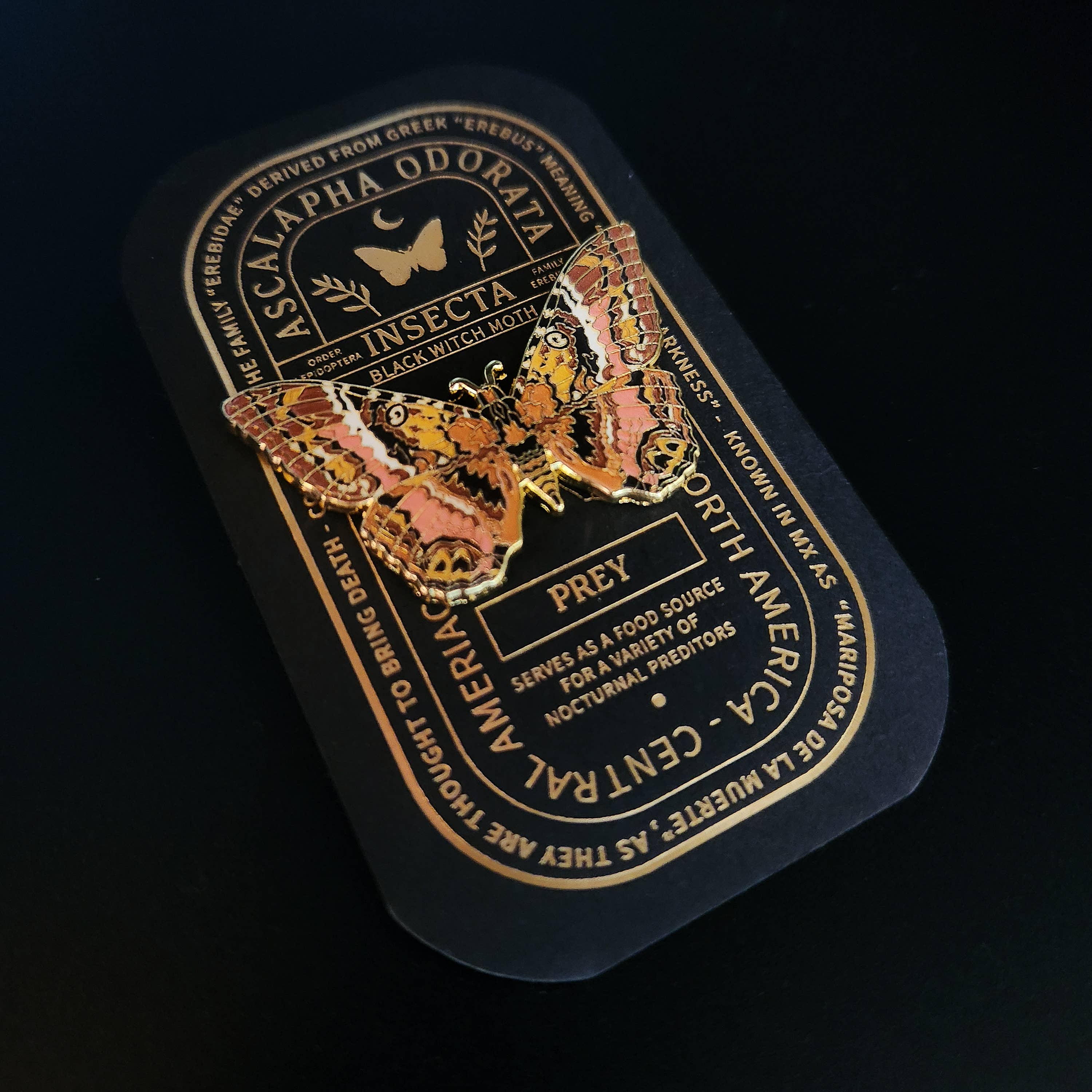 Black Witch Moth Educational Insect Enamel Pin