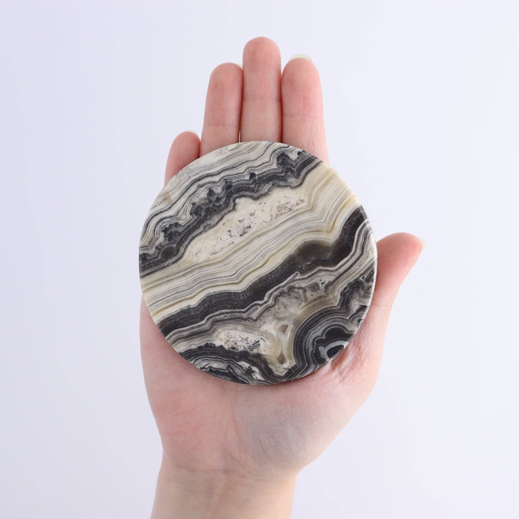 One Zebra Onyx Coaster
