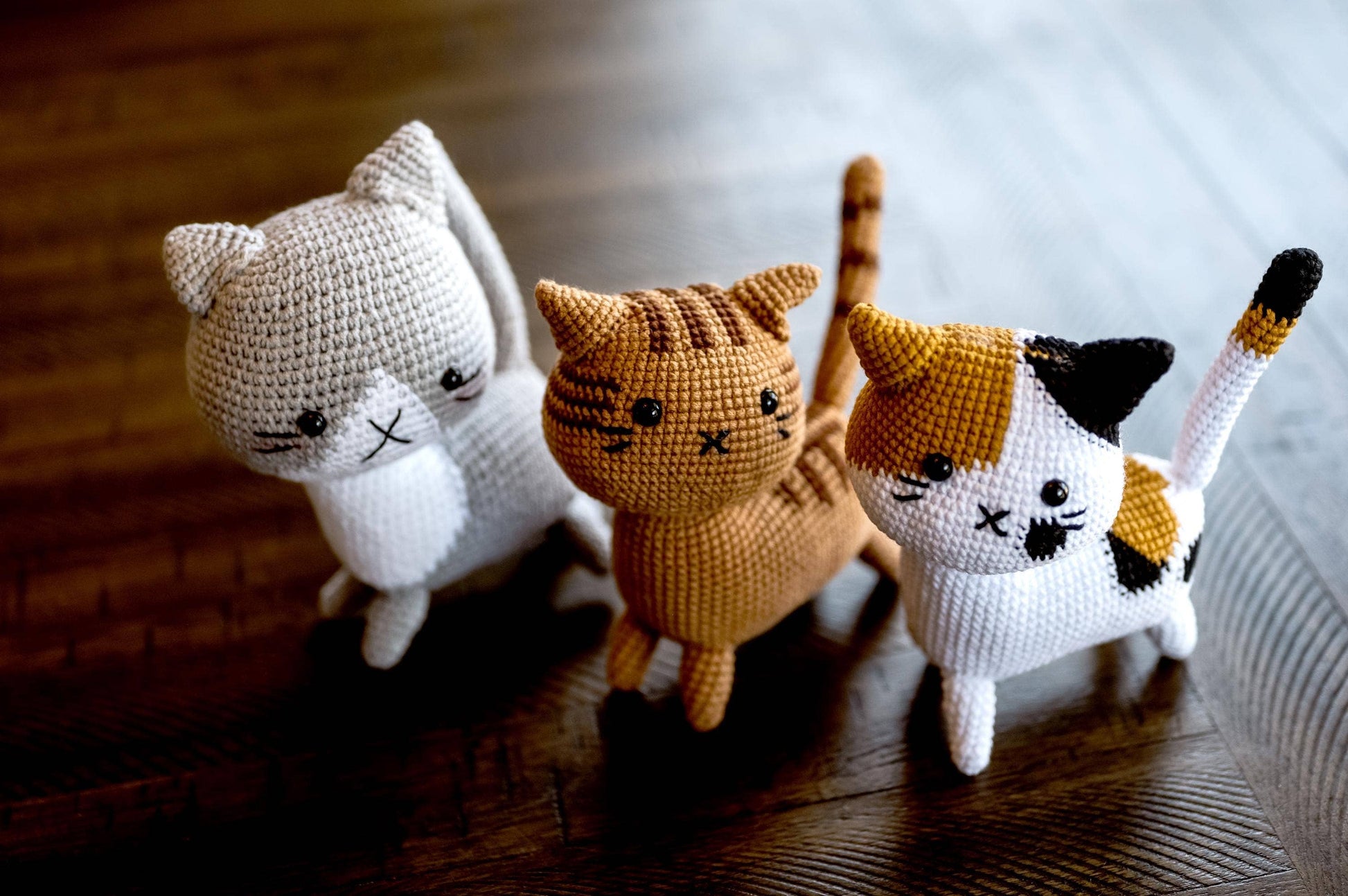 Cat Plush Toy
