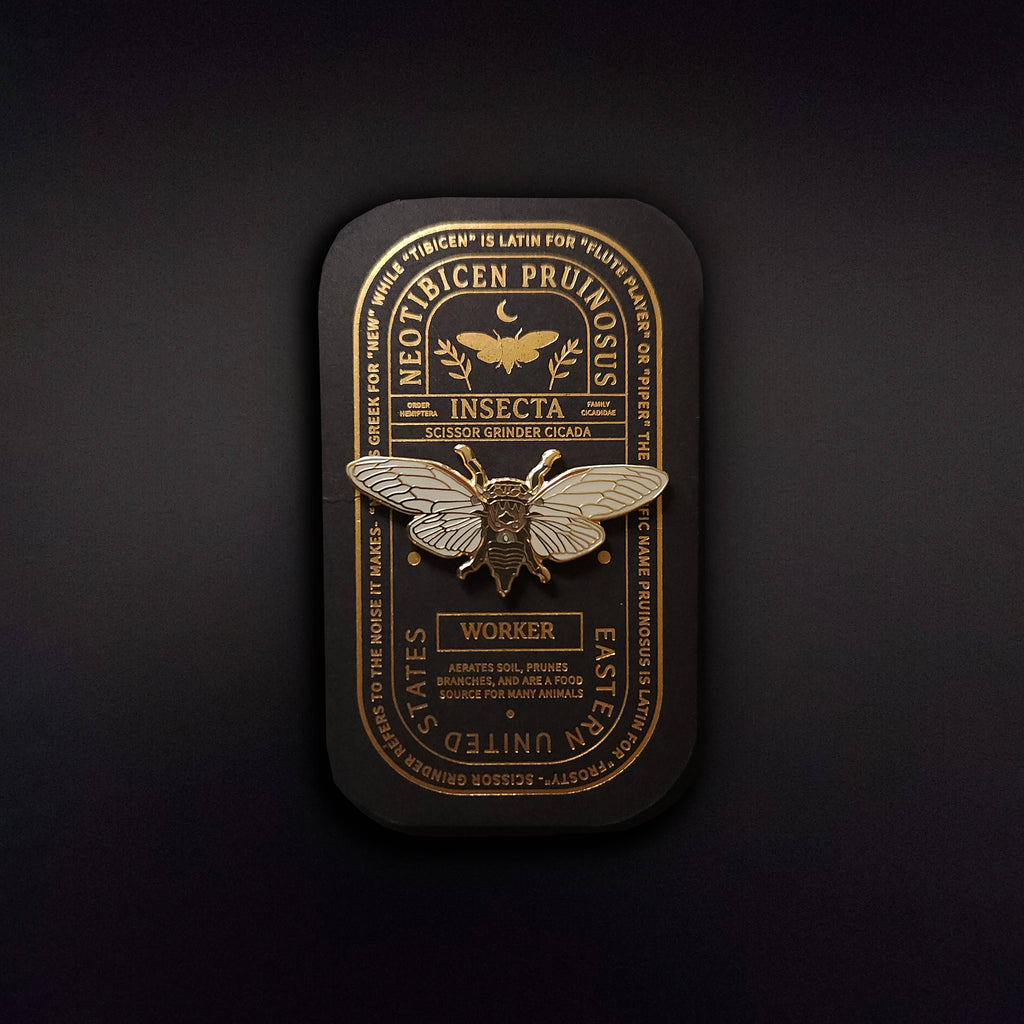 Scissor Grinder Cicada  Educational Insect Enamel Pin