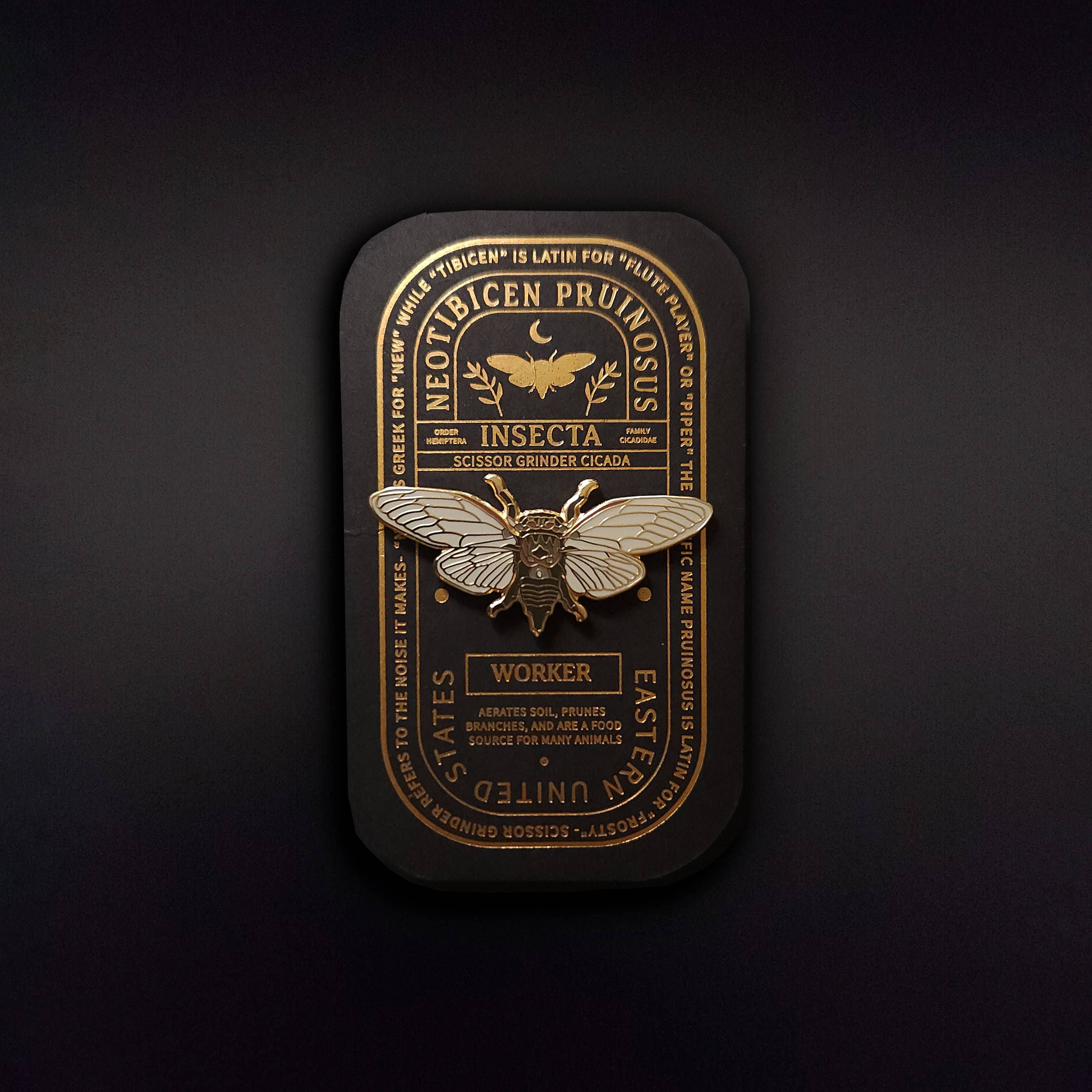 Scissor Grinder Cicada  Educational Insect Enamel Pin