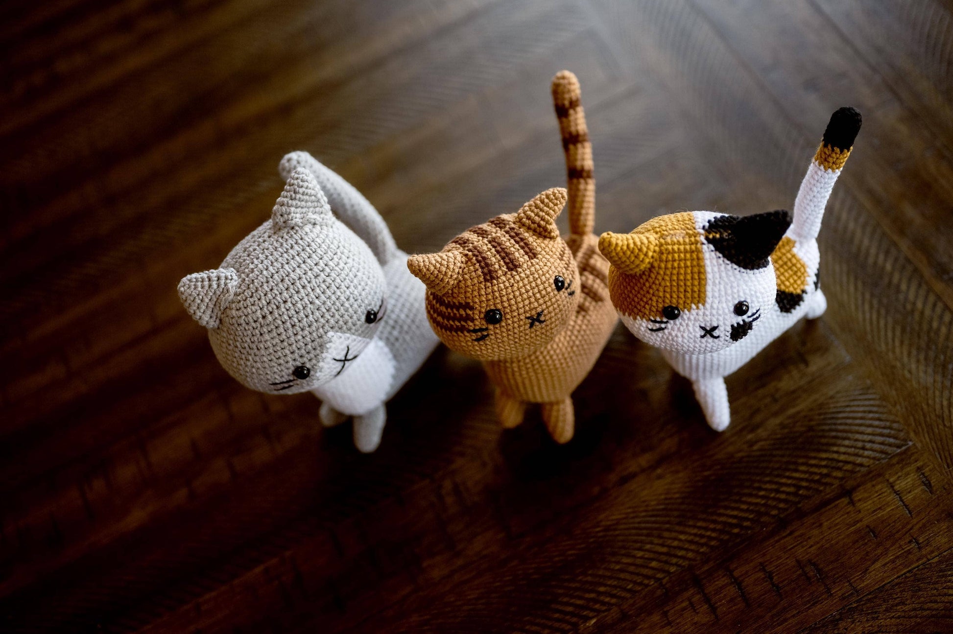 Cat Plush Toy