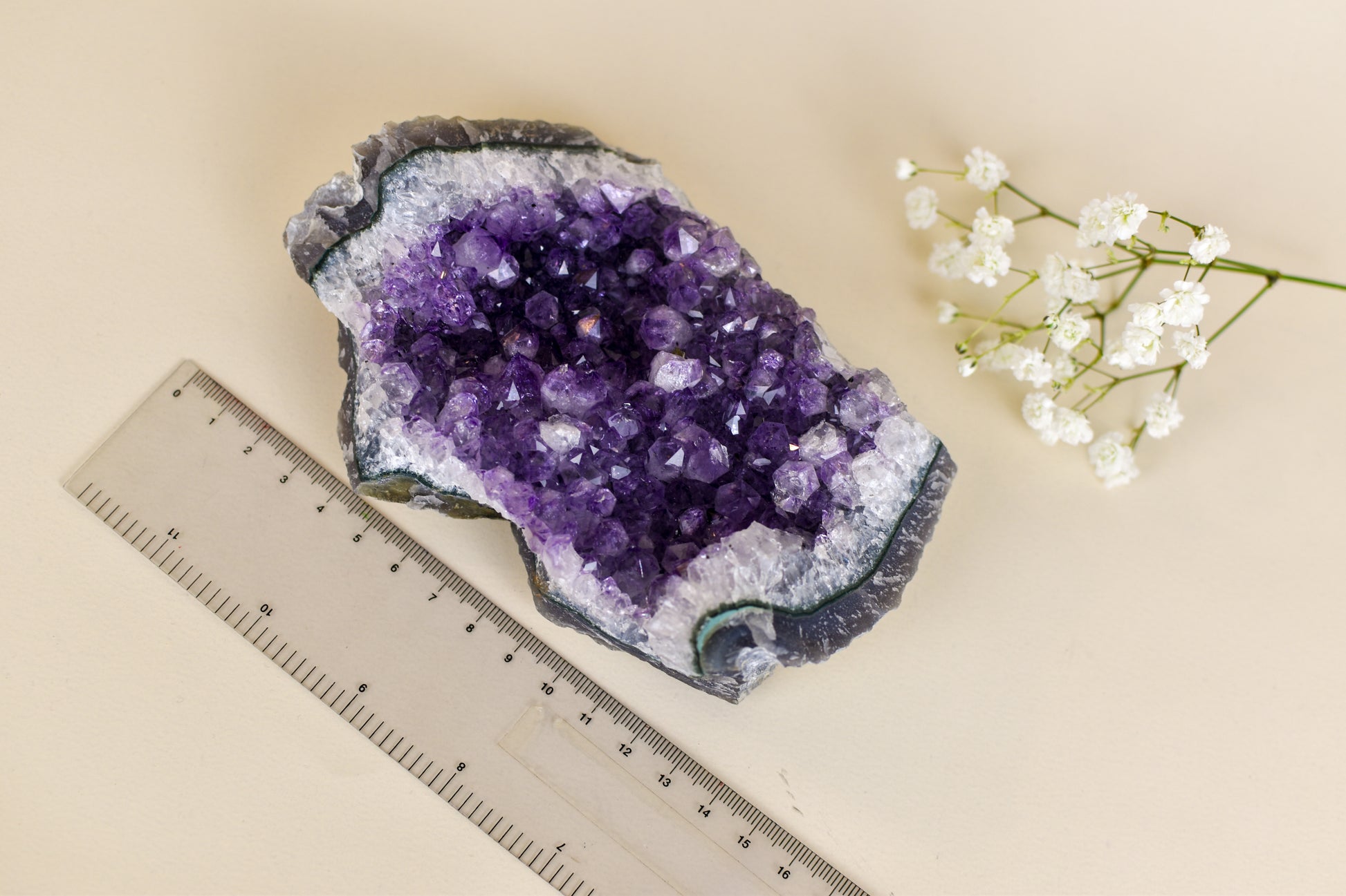 Hand-Selected Amethyst Cluster