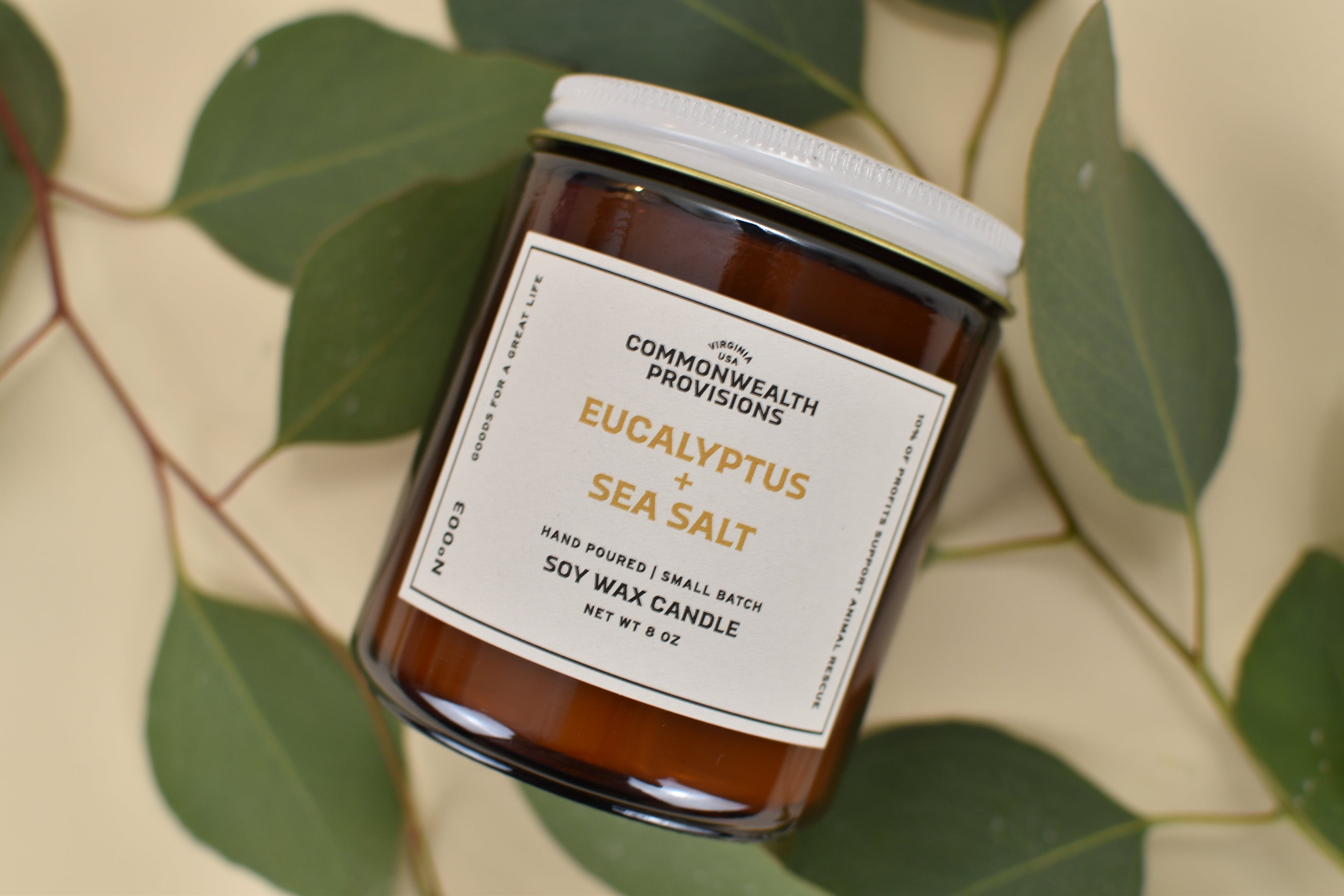 Soy Candle - Eucalyptus + Sea Salt