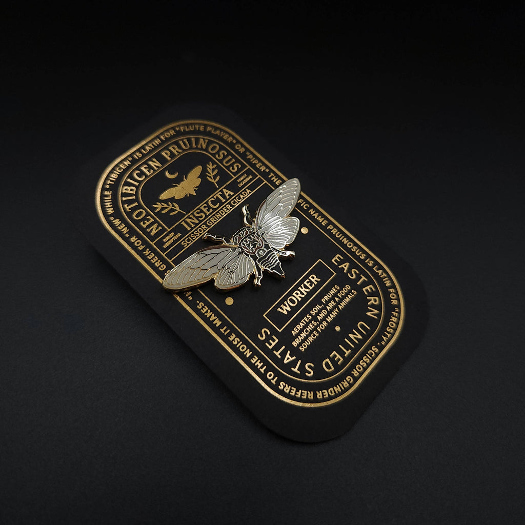 Scissor Grinder Cicada  Educational Insect Enamel Pin