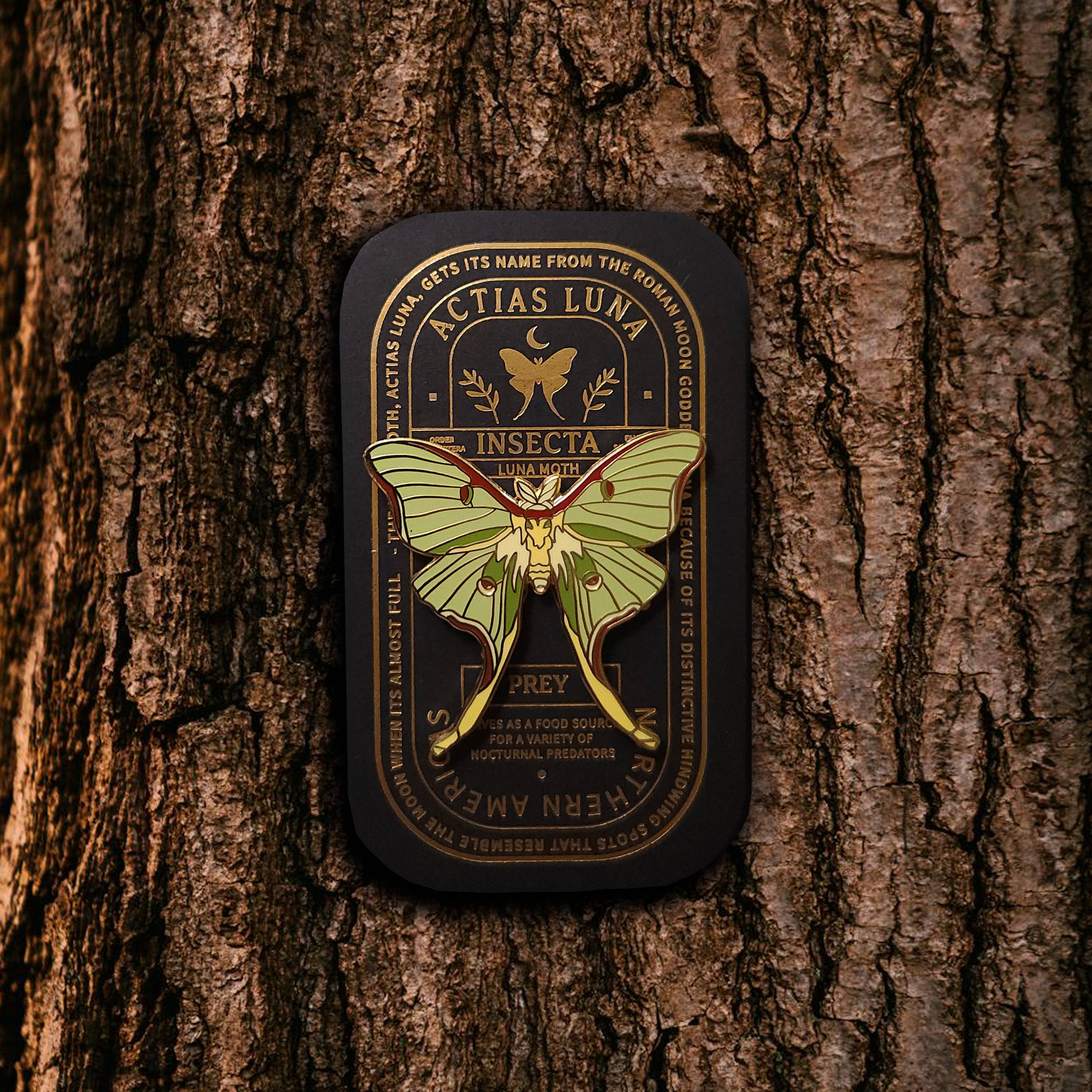 Luna Moth Educational Insect Enamel Pin
