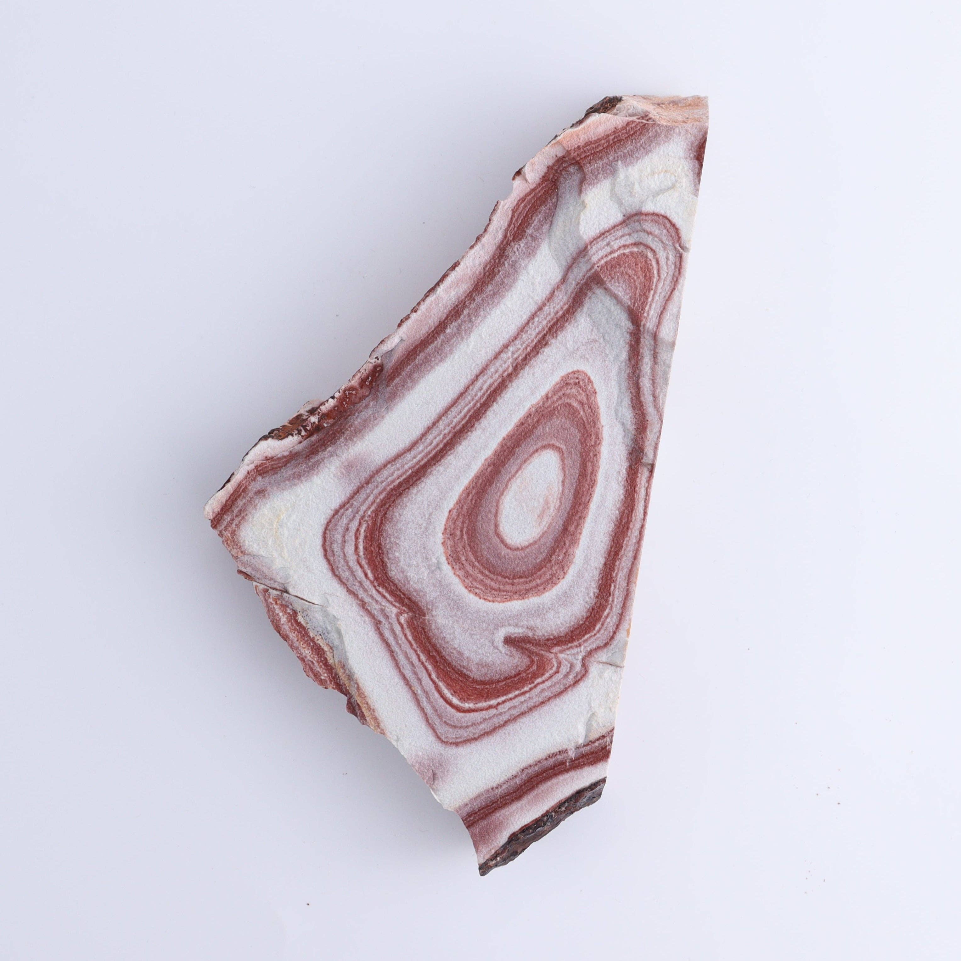 Rhyolite Slabs Set of 3